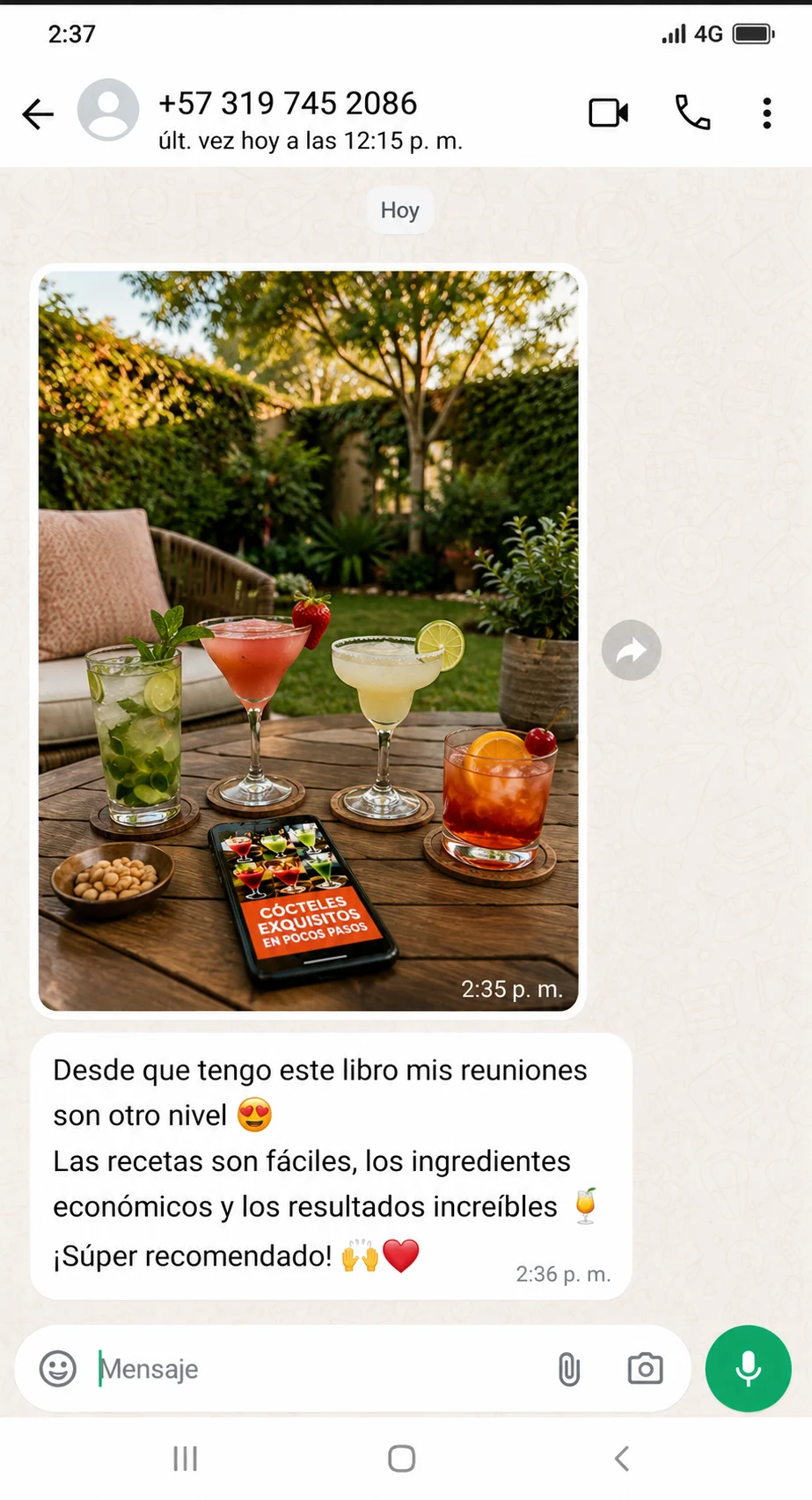 Comentario sobre reuniones en casa con los cócteles del ebook