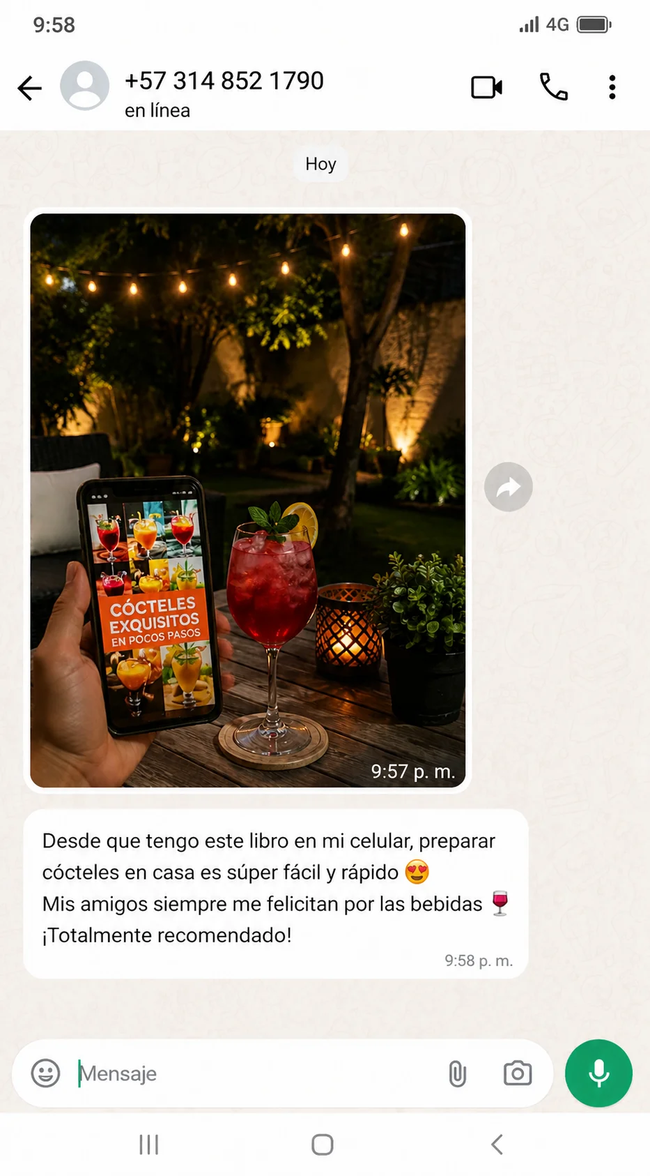 Comentario sobre preparar cócteles en casa con el ebook