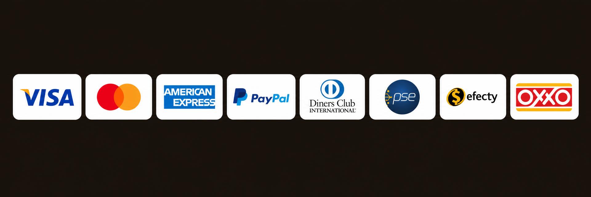 Métodos de pago disponibles: Visa, Mastercard, American Express, PayPal, Diners Club, PSE, Efecty y OXXO